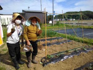 畑作業ひと段落！