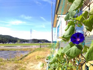 さかえの畑は今．．．