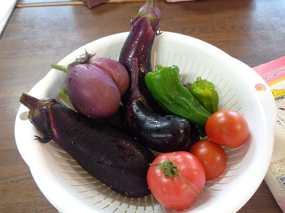 ホームの畑で変わった野菜を見つけ、みんなで大笑い😆