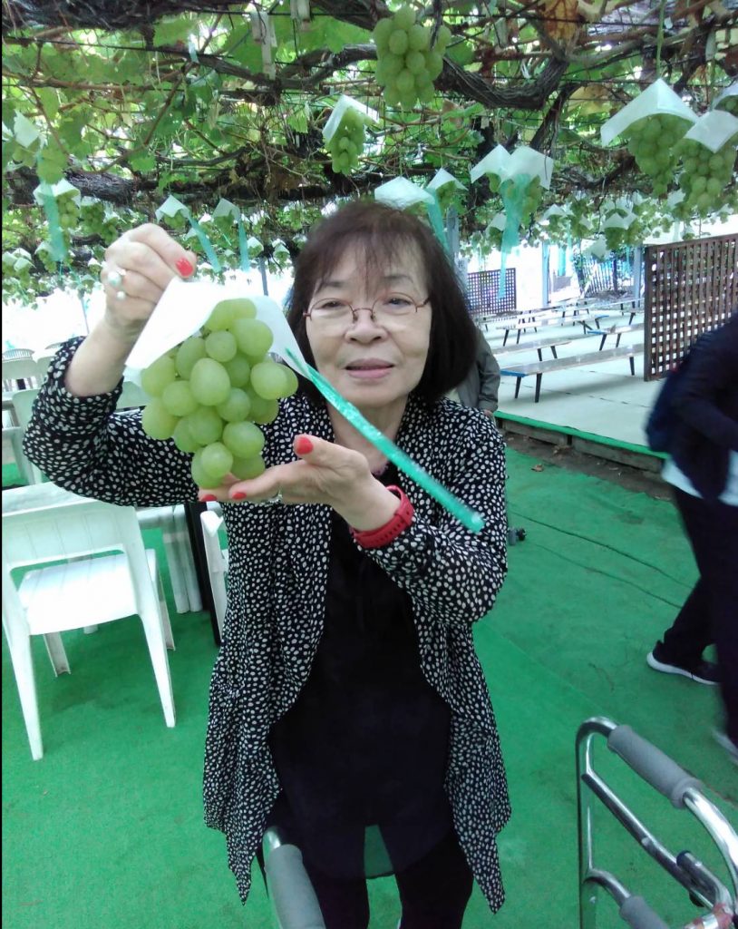 （小多機）ぶどう狩り2日目🍇