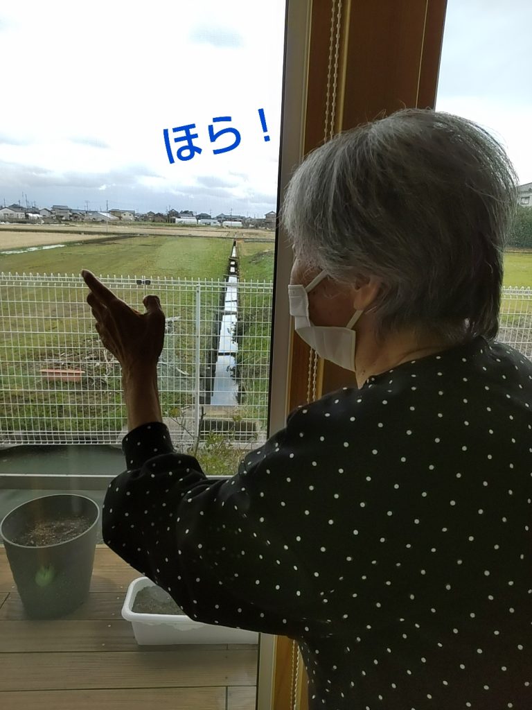 自然豊かです😊