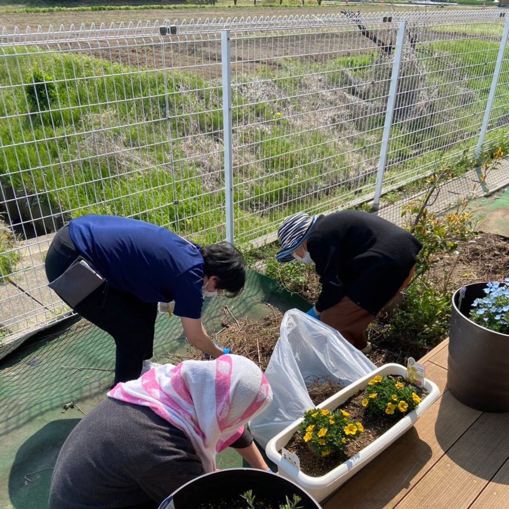 花壇のリニューアル目指してます😂
