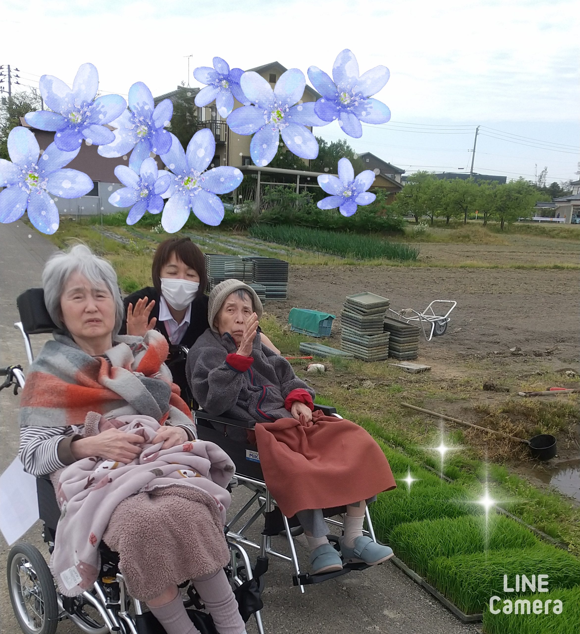 お散歩お散歩