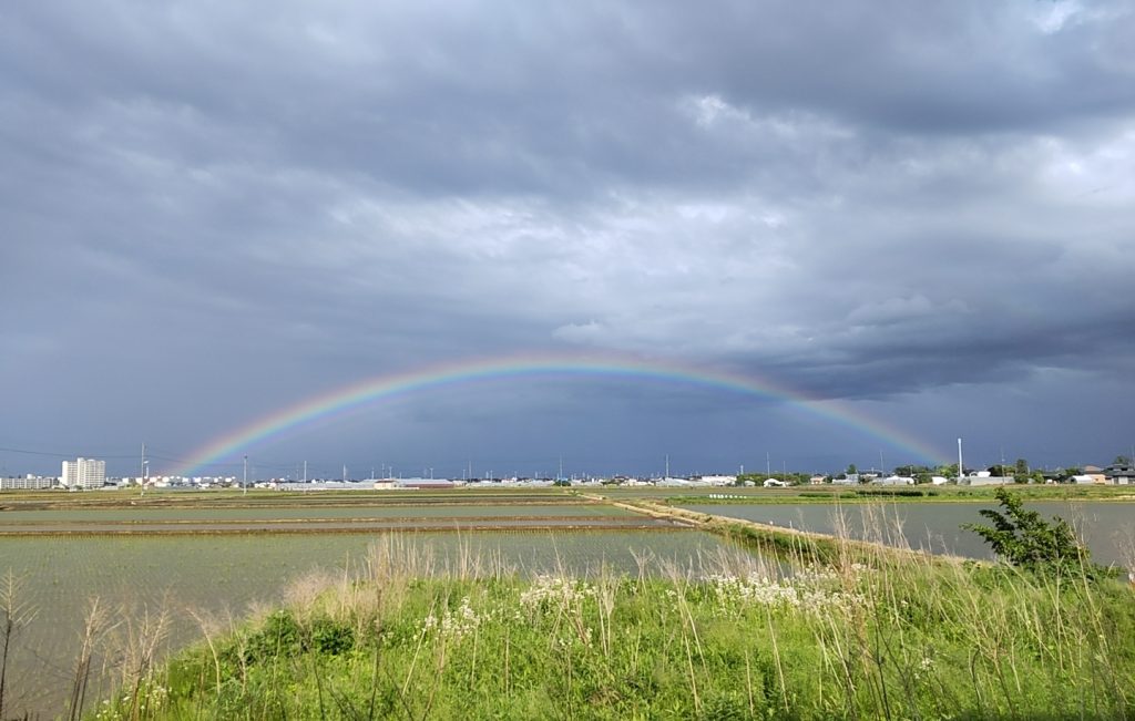 🌈虹🌈