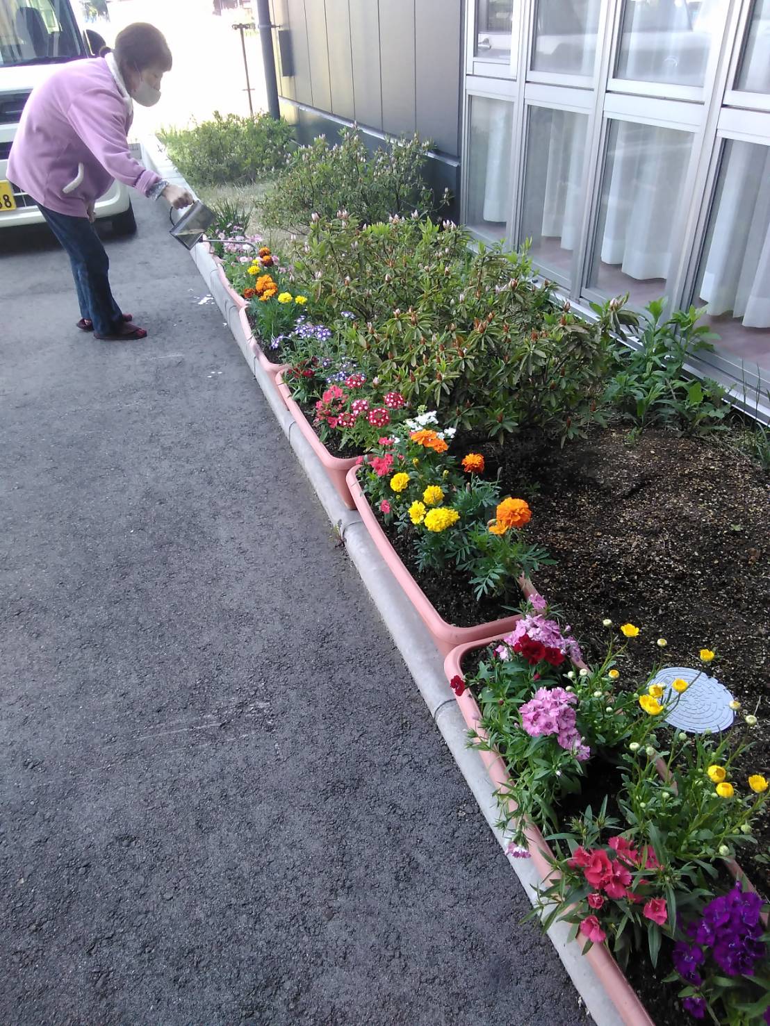 （小多機）おぎかわ園芸クラブ🌼～水やり編～