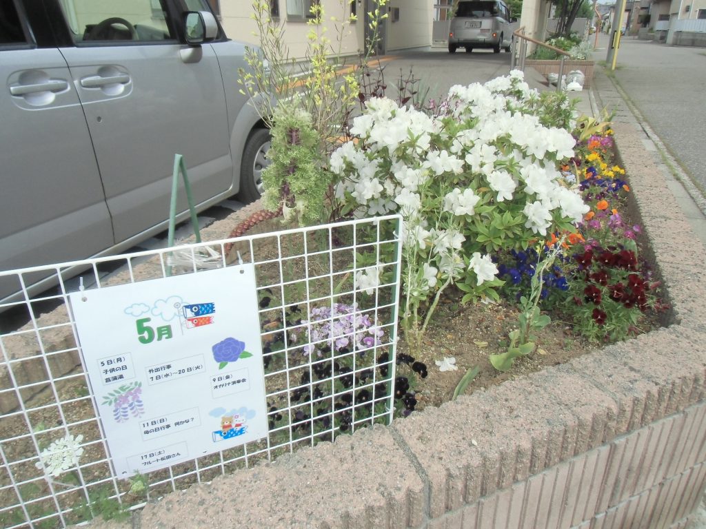 坂井東の花壇には…