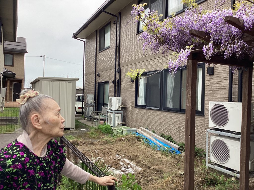 藤の花（ツバメユニット）
