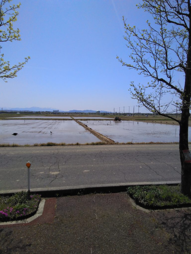 もうすぐ田植え