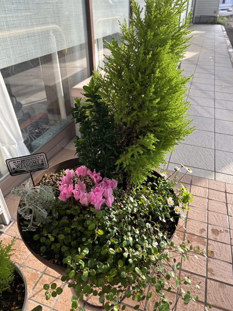 暑い一日🌞上木戸デイ