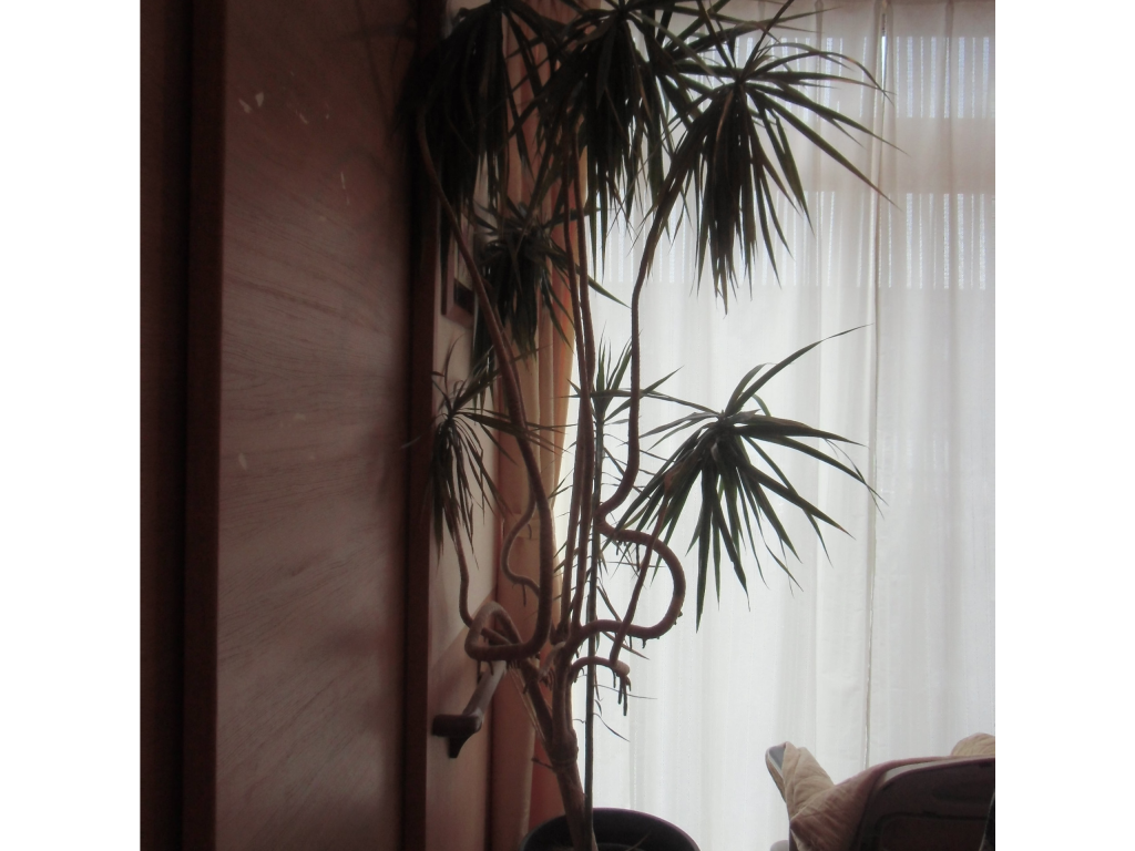 画像に alt 属性が指定されていません。ファイル名: 08fec5fee4f2a45fc022e8077602f5d3-1-1024x768.png