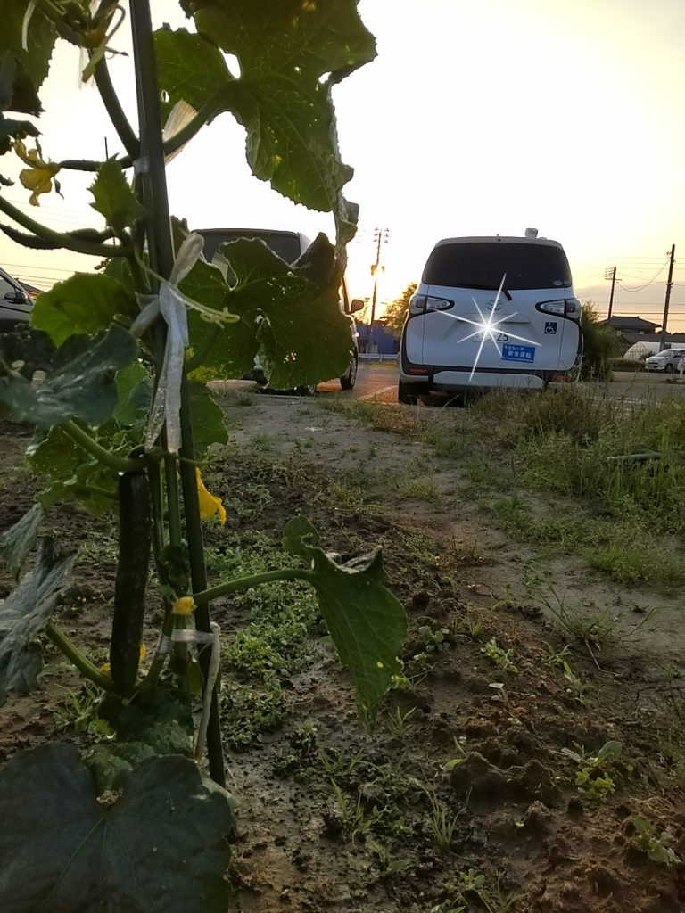 〆の❗️