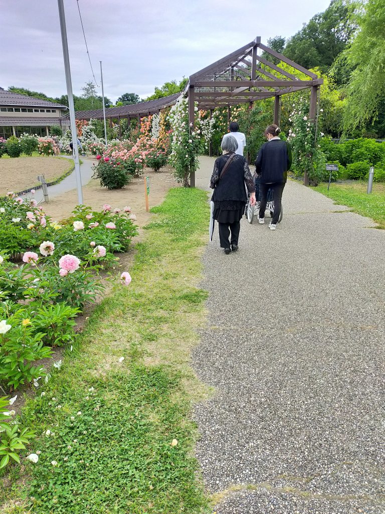 ~バラ園に行ってきました~ 看多機てらお