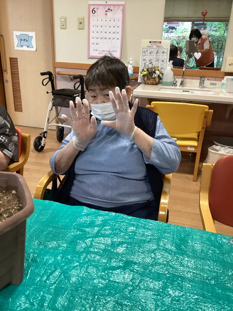 ポーチュラカ増産キャンペーン中🌺