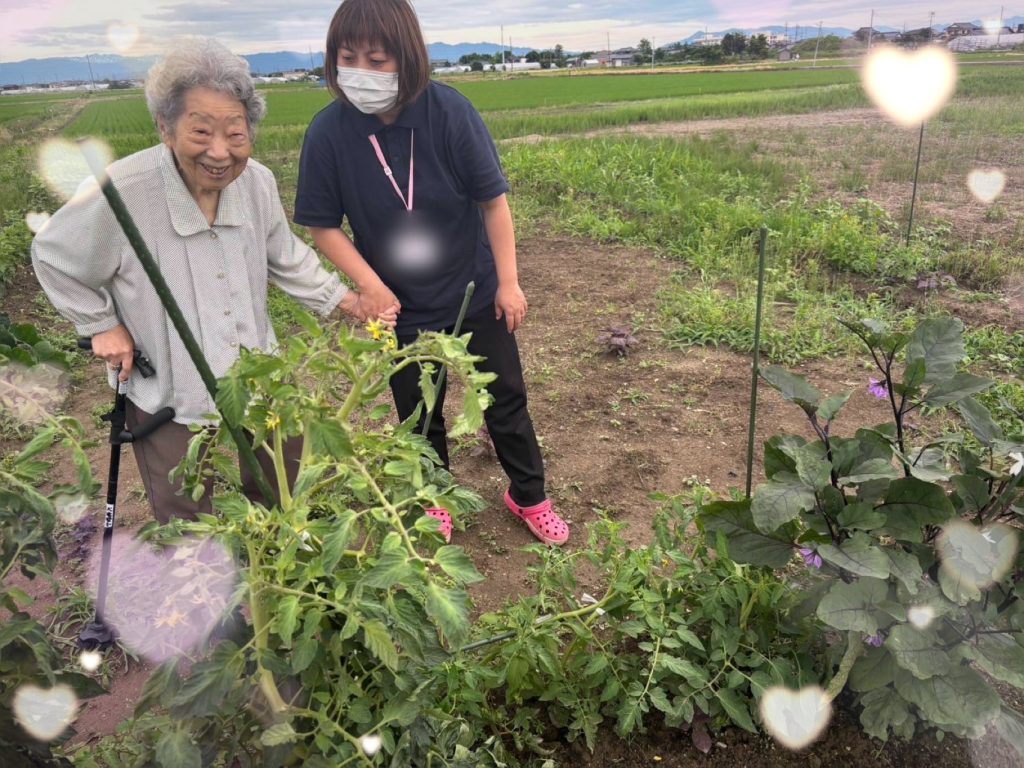 雨上がりに✨