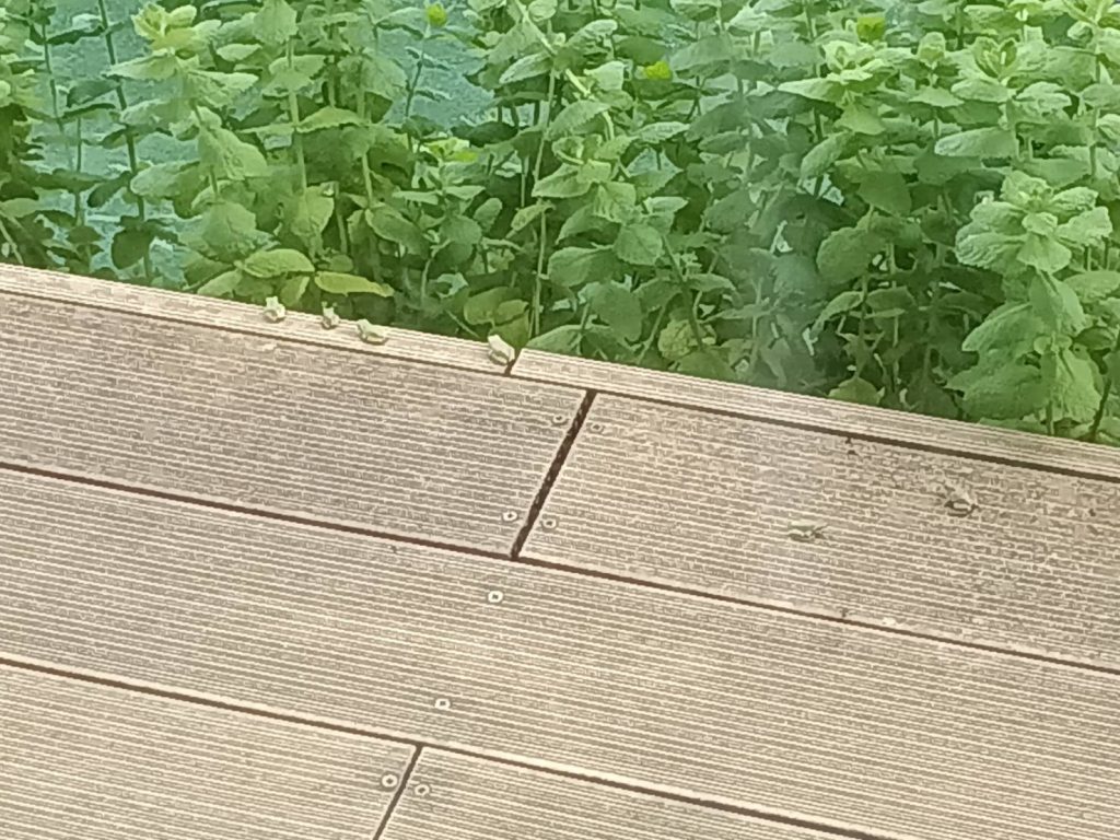 もぅ…泊れません😅