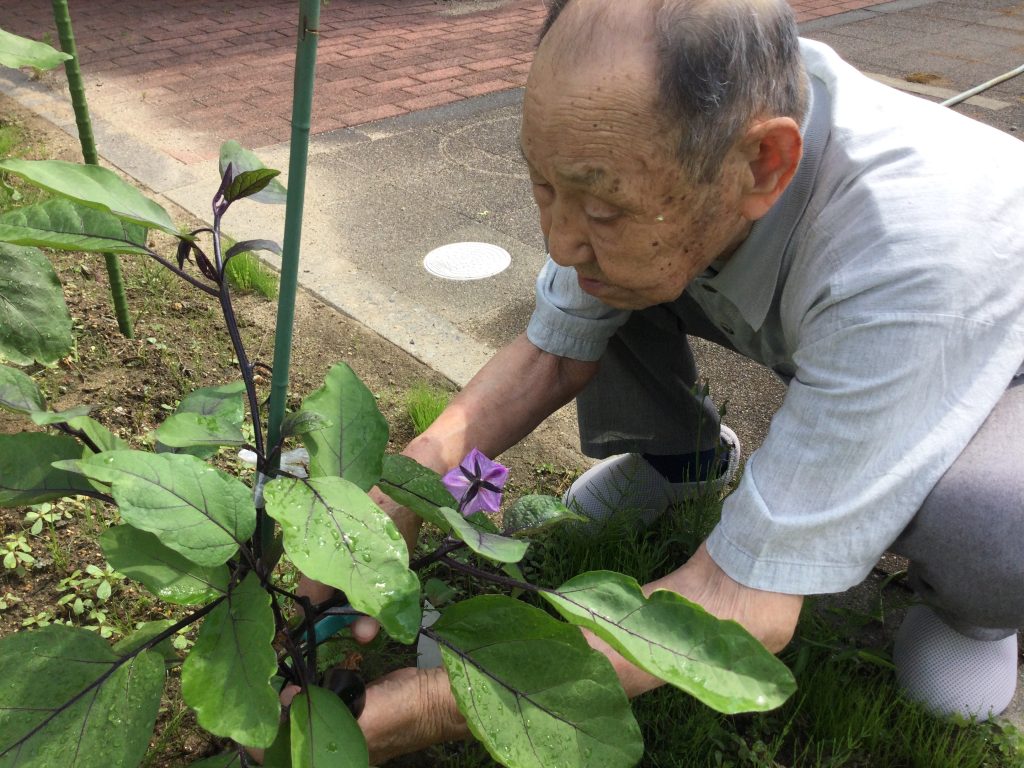 カワイイ野菜達