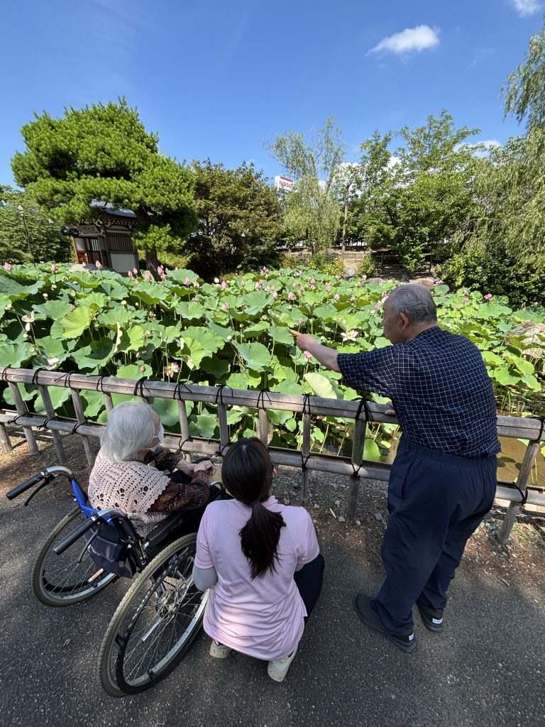 蓮の花🪷