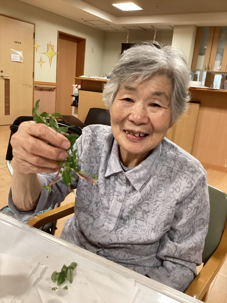 ただいま準備中🌺