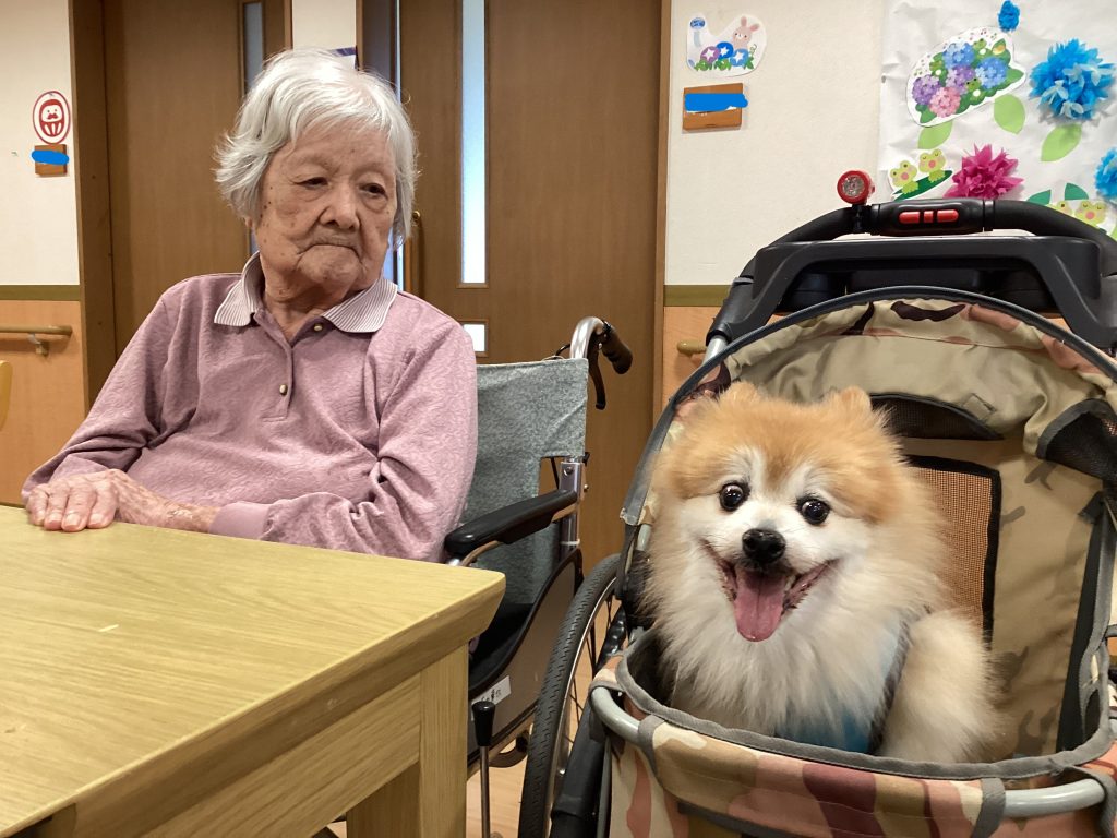 新津に💗