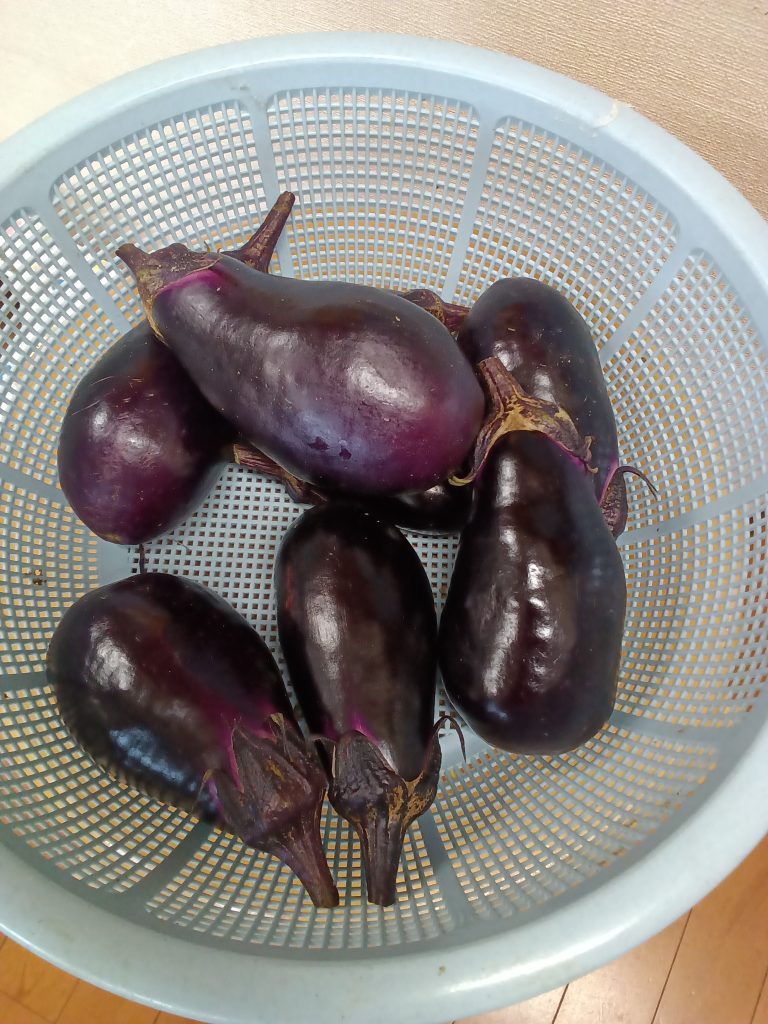 大きなナス🍆