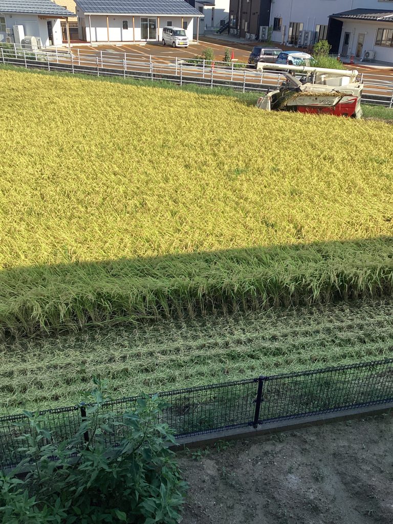 秋の風景