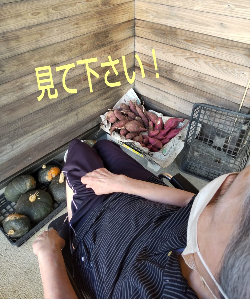 秋の美味しいモノ😋