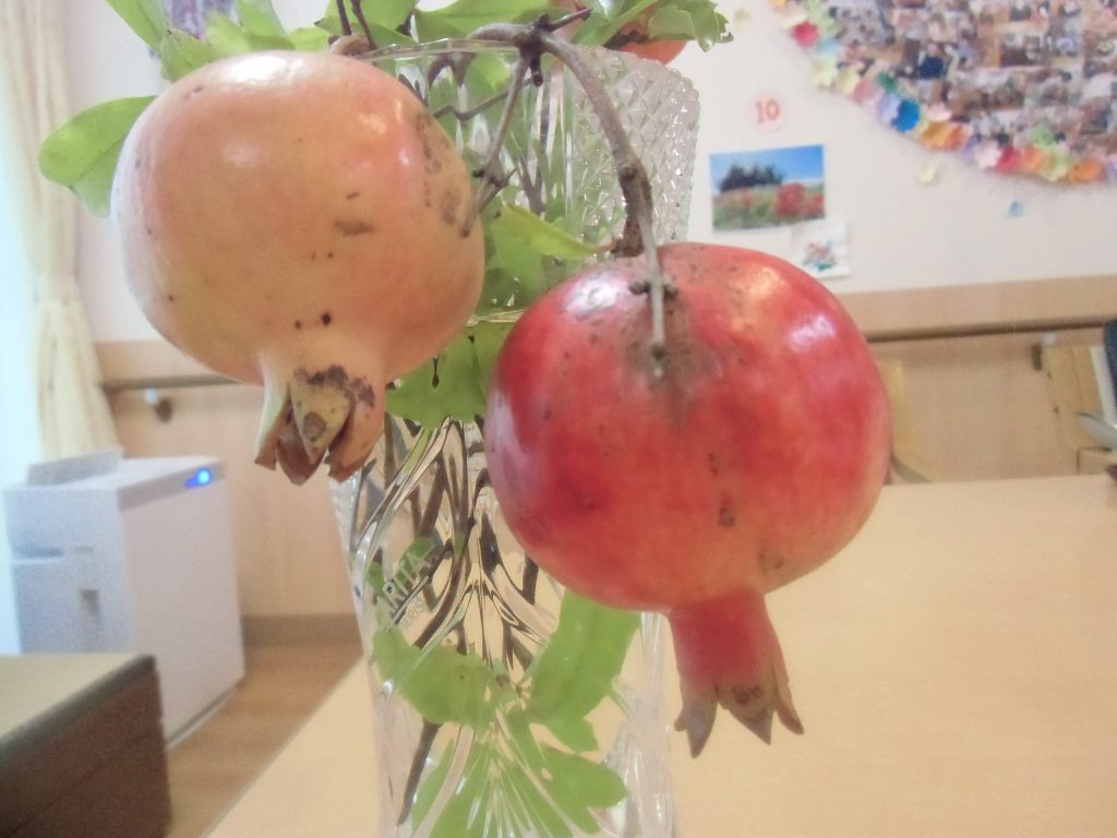 季節の物…