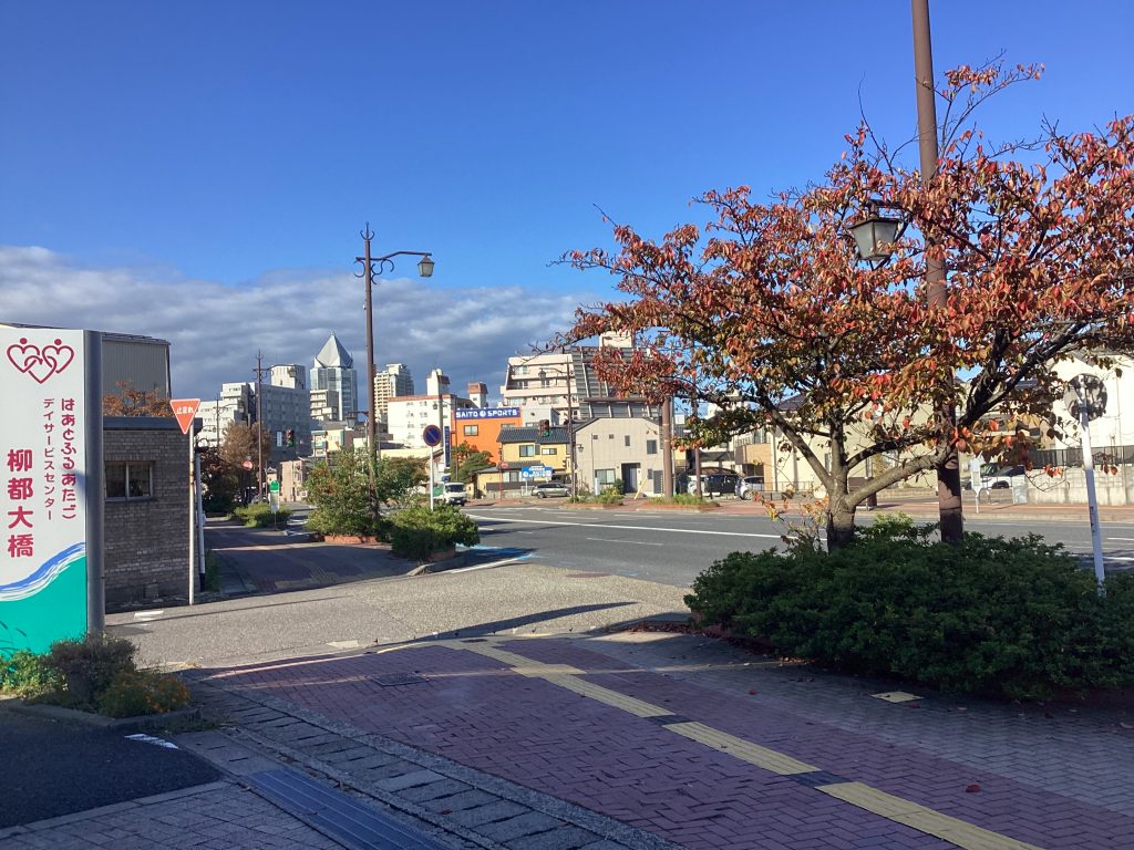 秋晴れ🍁今朝の柳都です😊