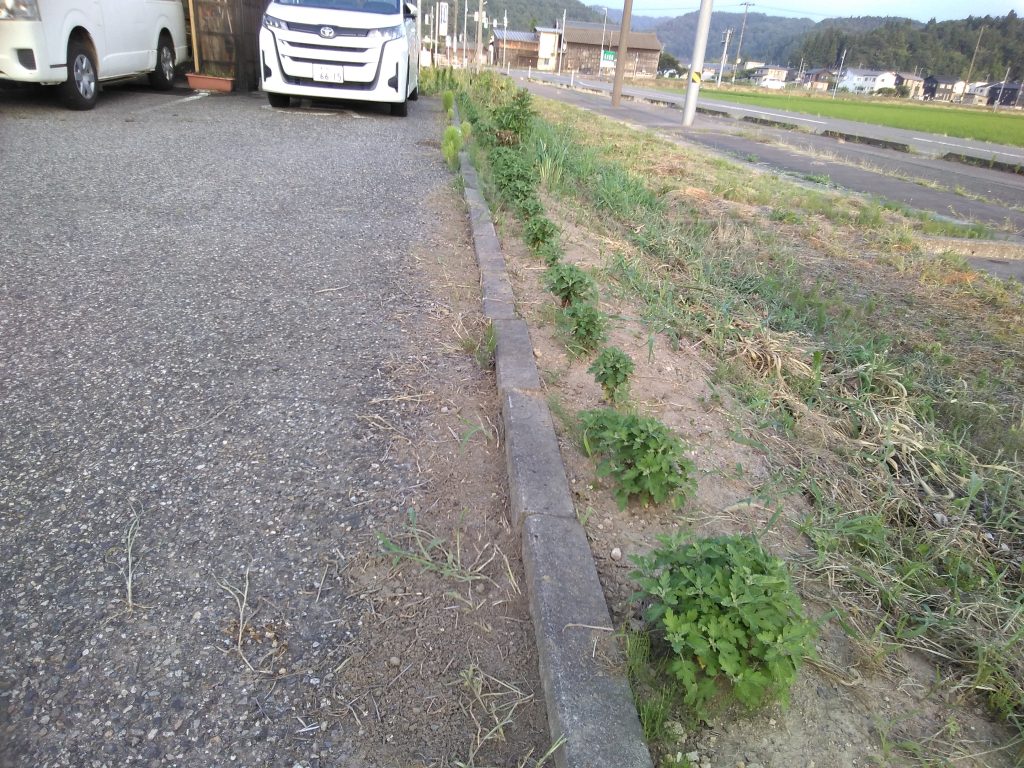 秋の訪れ・・・