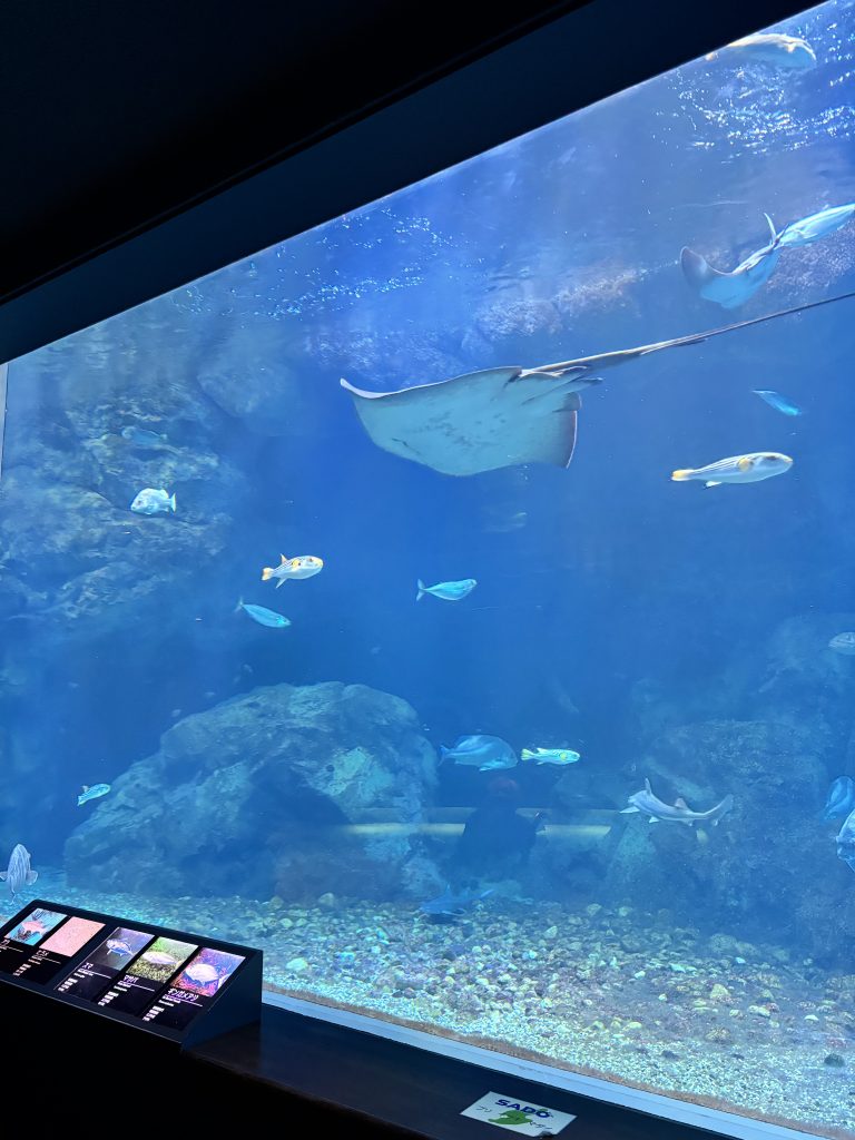 水族館へレッツゴー！　　看多機てらお