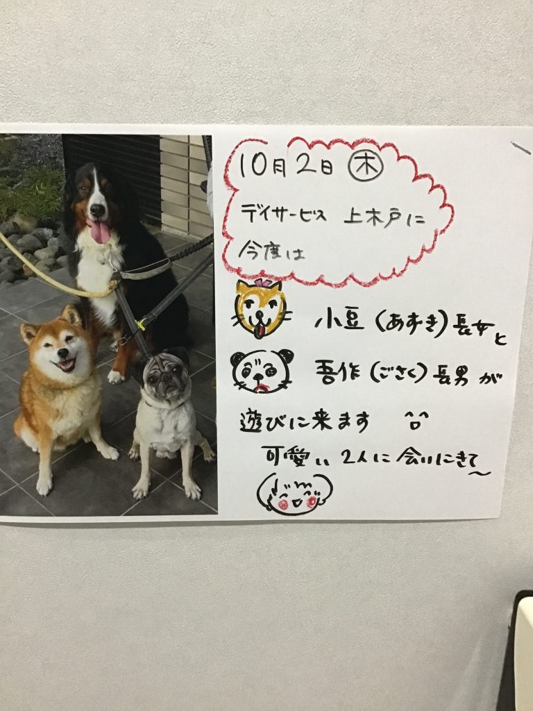 明日はワンちゃんと触れ合うデー🐕