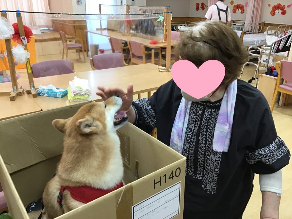 わんこ 捨てられていたんじゃないですよ