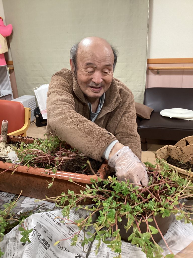 さらばポーチュラカ💖