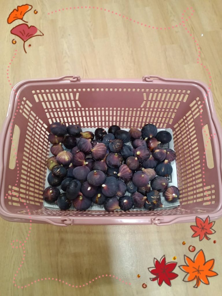 こんな事ありました💡