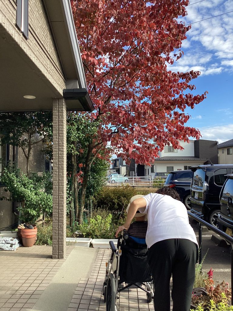 この木なんの木❓