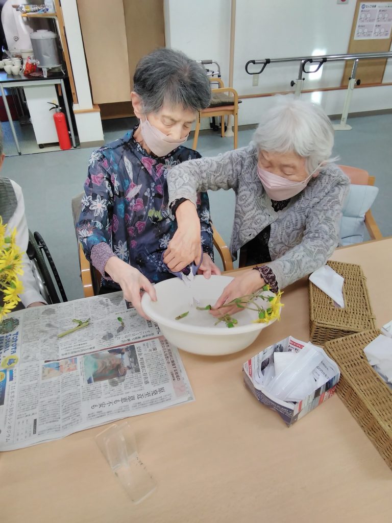 🌼お花がある生活🌼