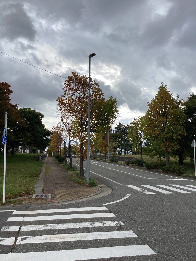 今日から11月🍂