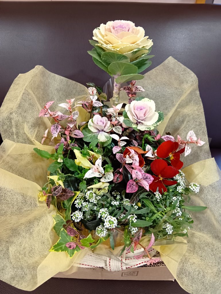 寄せ植え４姉妹💖