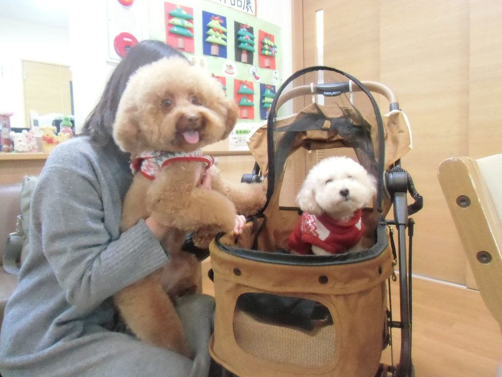 最高に可愛いお客様❤