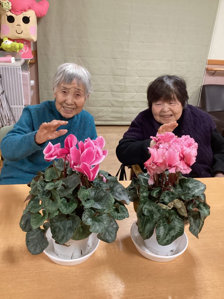 シクラメンのかほり💖