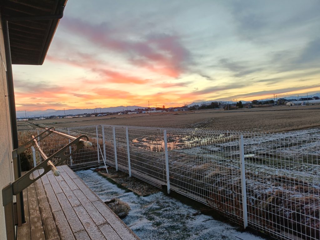 早朝から感謝です🙏