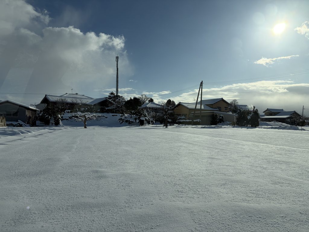 雪だるま作り⛄