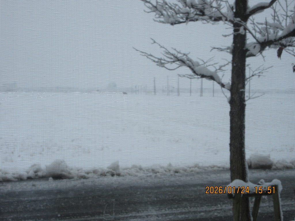 雪～～～❢❢⛄