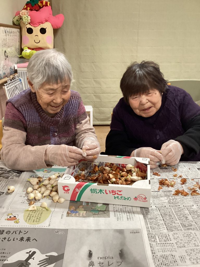 チューリップ🌷