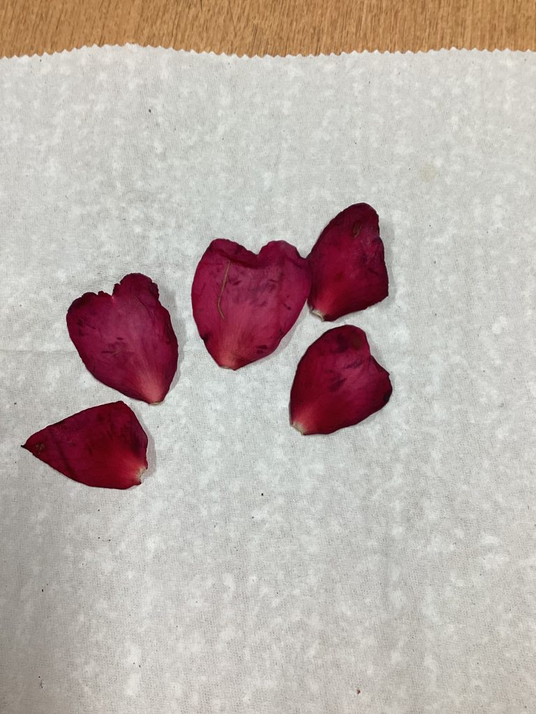 素敵なプレゼント🎁