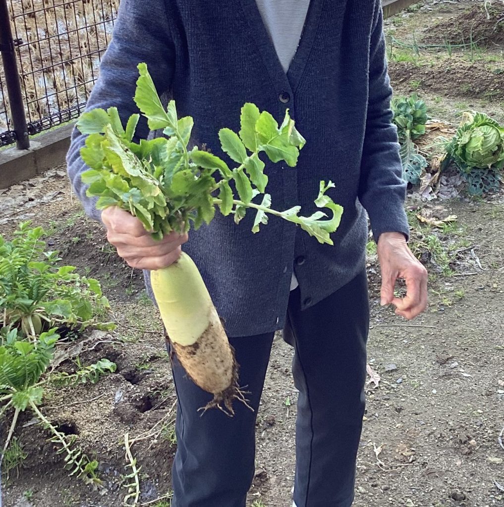 とったどー‼︎