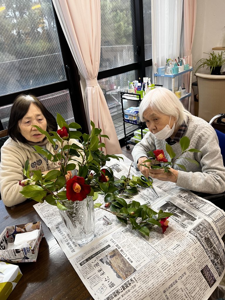 きれいな椿‼️